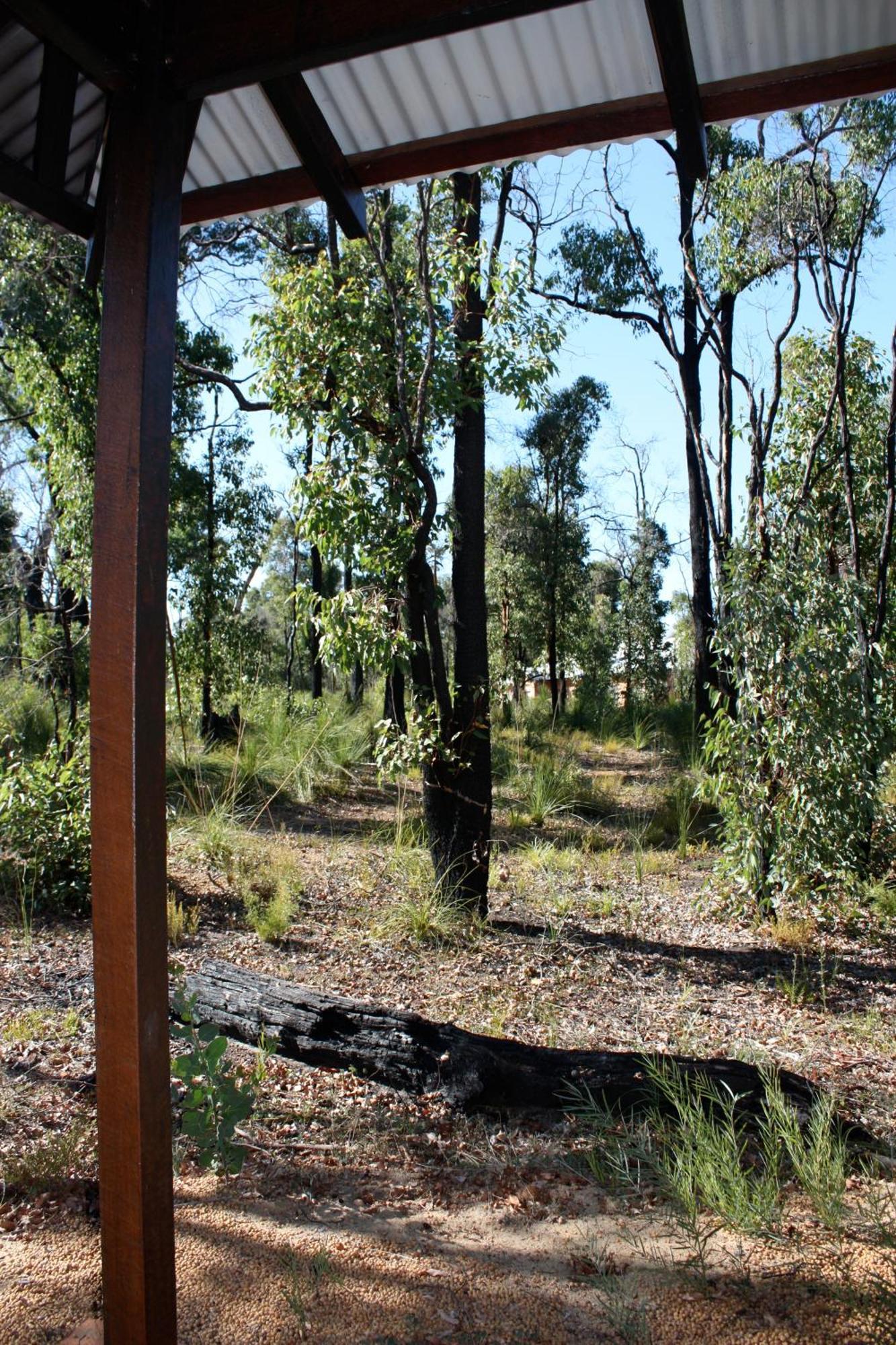 Chalets On Stoneville Redcliffe Exterior foto